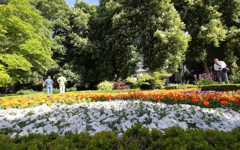 Божественная фантазия. Ботанический сад в Мадриде
