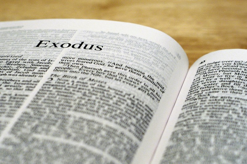 exodus-bible800x533