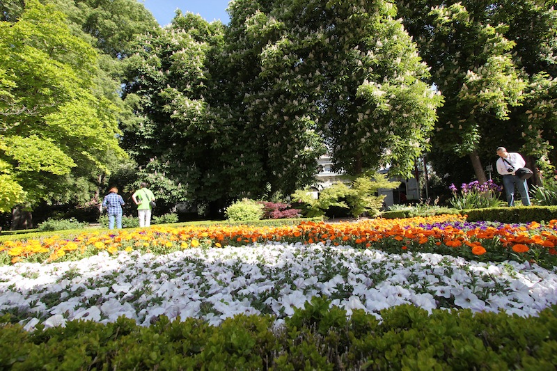 Ботанический сад в Мадриде