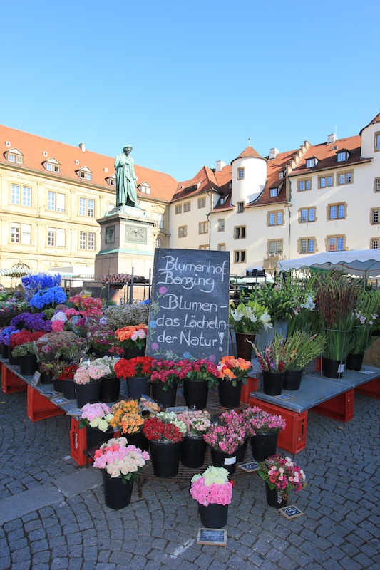 Цветочный рынок на площади Шиллера
